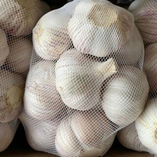 Garlic