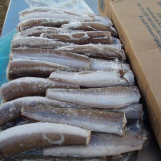 Frozen Hake Fish / Fillet