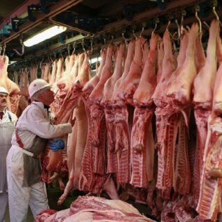 Frozen Pork Parts